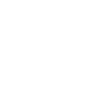 IP Protection